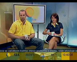 Obrázek